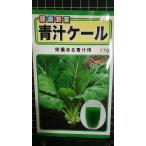 3 пакет и больше . купон скидка зеленый сок кудрявая капуста вид mail. бесплатная доставка 