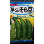 3 пакет и больше . купон скидка . сырой боб садовый боб вид mail. бесплатная доставка 