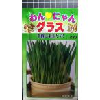 3 пакет и больше . купон скидка ..... стакан шерсть шар уход en пшеница .... вид mail. бесплатная доставка 