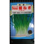 ３袋以上でクーポン割引 葉ネギ 薬味用 葱 細ねぎ 万能系 こねぎ 種 郵便は送料無料