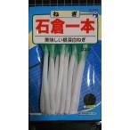 ３袋以上でクーポン割引 石倉 一本 ねぎ 葱 種 郵便は送料無料