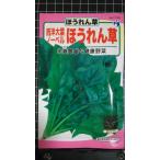 ３袋以上でクーポン割引 西洋大葉 ノーベル ほうれん草 ホウレンソウ 種 郵便は送料無料