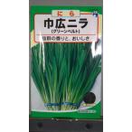 3 пакет и больше . купон скидка ширина широкий чесночный лук зеленый ремень .. вид mail. бесплатная доставка 