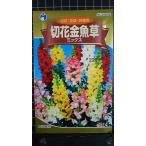 ３袋以上でクーポン割引 切花 金魚草 ミックス キンギ