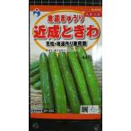 3 пакет и больше . купон скидка близко . время . земля . огурец кий li вид mail. бесплатная доставка 
