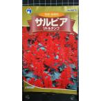 3 пакет и больше . купон скидка sa рубин a little tango вид mail. бесплатная доставка 