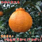 紀州和歌山有田の不知