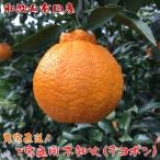 紀州和歌山有田の不知火(デコポンと同品種)(ご家庭用) 10ｋｇ【訳あり】【わけあり】【送料無料】