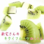 【先行予約　１１月中旬以降】農家直送！新宅さんの濃厚キウイフルーツ（ヘイワード） 約２ｋｇ【送料無料】【和歌山県産】