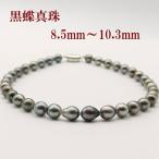 真珠パールネックレス黒蝶真珠ネック...