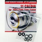 11カルディア 2004用 MAX11BB フルベアリングチューニングキット HEDGEHOG STUDIO ヘッジホッグスタジオ