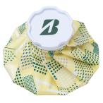 2026 год модели Bridgestone лед. . лёд сумка GA26S1 YE желтый 