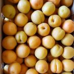 a.. flat мир примерно 4kg обработка для .* большой маленький роза ..6 месяц 20 день передний и задний (до и после) ~ отгрузка 