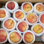  сосна . san .. [wasa-]3kg 8 месяц средний . примерно ~ отгрузка ( обычная температура рейс ) Nagano префектура производство 