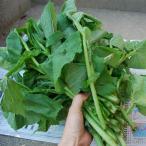 yobsma saw 2kg( большой маленький роза ..)