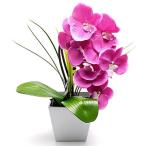 2ndFloorLEDフラワー Orchid（胡蝶蘭）パープル/光るフェイクグリーン（造花）