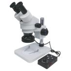 アームスの商品例3