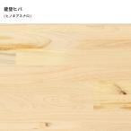 色見本 板 能登ヒバ 天然木 1円 ⊆