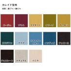 色見本 生地 カレイド 1円 ⊆