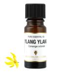アロマオイル イランイラン 精油 エッセンシャルオイル 10ml