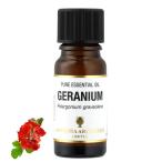 アロマオイル ゼラニウム 精油 エッセンシャルオイル 10ml