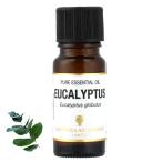 アロマオイル ユーカリ 精油 エッセンシャルオイル 10ml