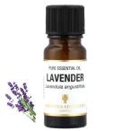 アロマオイル ラベンダー  精油 エッセンシャルオイル 10ml