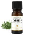 アロマオイル サイプレス 精油 エッセンシャルオイル 10ml