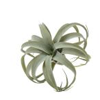 フェイクグリーンイミテーショングリ...