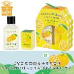 1~7営業日出荷 ハンドケアギフト プチギフト ハンドソープ バスフィズ 入浴剤 四国産ゆずの香り 女性 プレゼント ほっこり入浴とうるおいケア 爆買