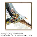 デコパージュ プリント アート パネル ホーク ほそかわ かほ 50×50 cm コラージュアート 動物 鳥 ND Concept Frame