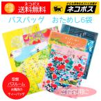 入浴剤 バスバッグ 空想バスルーム 6袋 日本製 パッケージがオシャレ プチギフト 人気 送料無料
