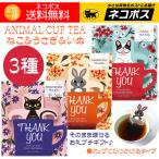 プチギフト お礼 紅茶 ティーバッグ