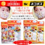 アンパンマン ちいさな 立体マスク 使い切り 使い捨て 2歳 3歳 4歳のお子様用 ２柄（5枚入り）×2（マスク計20枚）送料無料