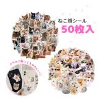  с футляром кошка наклейка. любимый .. Chan ..... большая вместимость. 50 шт. комплект кошка блокнот стикер симпатичный кошка mi-m много дневник ko Large .sk LAP книжка 