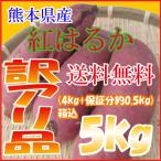 さつまいも 紅はるか 5kg 箱込 約5kg 熊本県産 訳あり品 送料無料 生芋 北海道・沖縄県・離島除く