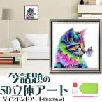 ショッピングDIYキット ダイヤモンドアート セット 猫 四角 初心者 簡単 レインボーキャット ネコ 5D ビーズ絵画 DIY キット ツール 手作り 図案 おしゃれ かわいい 子供 送料無料