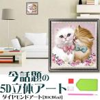 5D бриллиант искусство комплект кошка Rav кошка шерсть .. бисер картина начинающий простой DIY популярный комплект tool ручная работа дизайн настоящее время искусство популярный семья украшение бесплатная доставка 
