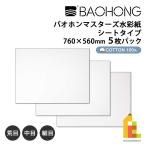 バオホン BAOHONG バオホンマスターズ水彩紙 300g シートタイプ (荒目/中目/細目) 全3種 5枚パック 760×560mm コットン100%