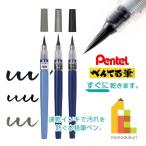 ぺんてる 速乾ぺんてる筆 黒 中字 