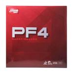 DHS PF4l черный MAX_2.1mm [M рейс 1/4]