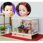 プリンセス雛人形 ケースセット　白ピンク 桜花雛 ＜3W-T2511>