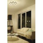 大光電機 シャンデリア DCH38214Y