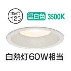 大光電機 屋内・屋外兼用ベースダウンライト DDL5135AW 温白色 Φ125 白熱灯60W相当 工事必要