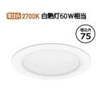 遠藤照明 ダウンライト EFD9466W 無線�