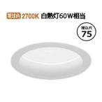 遠藤照明 ダウンライト ERD9496W 工事�