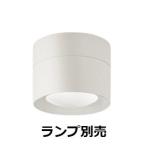 遠藤照明 軒下用シーリングダウン�