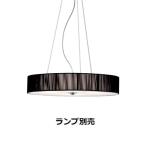 遠藤照明 ペンダント ランプ別売 無