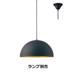 遠藤照明 ペンダント ランプ別売 無