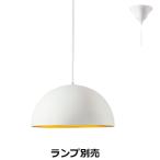 遠藤照明 ペンダント ランプ別売 無
